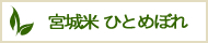 宮城米ひとめぼれ